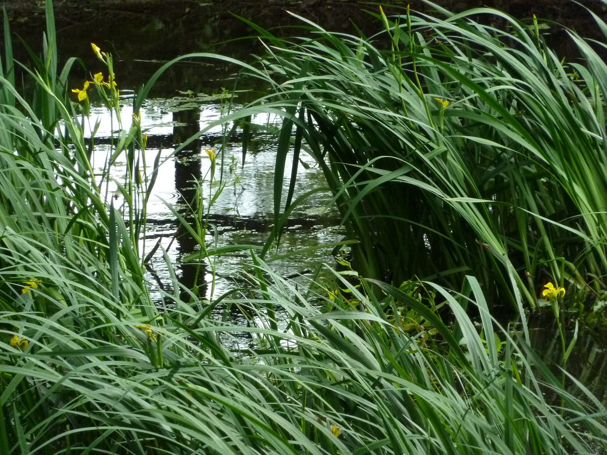 Upper Green Pond